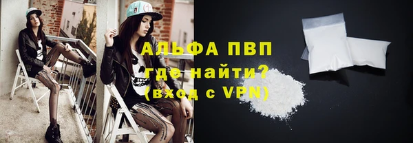 ПСИЛОЦИБИНОВЫЕ ГРИБЫ Чегем