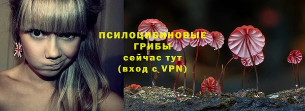 эйфоретик Вязьма