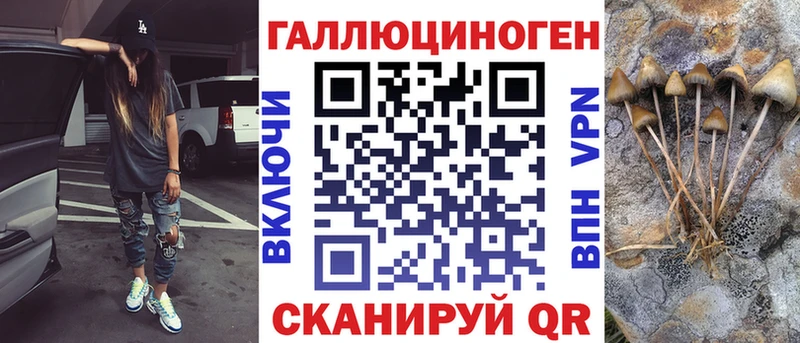 Псилоцибиновые грибы Psilocybine cubensis  дарк нет Telegram  Питкяранта 
